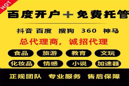 行业领先企业的关键词竞价排名实战案例